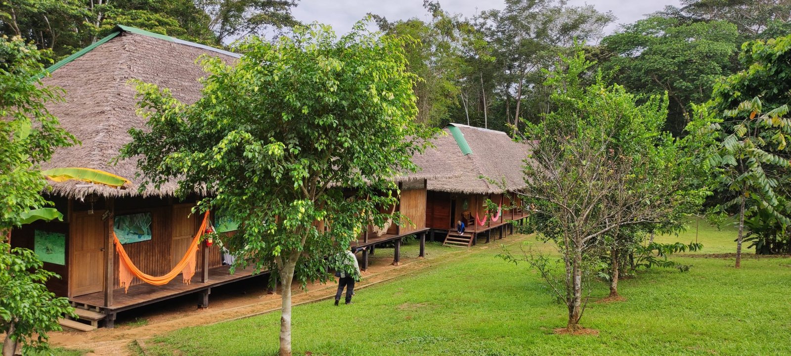 Is there electricity at the Tambopata Lodge? | Lorenzo Expeditions