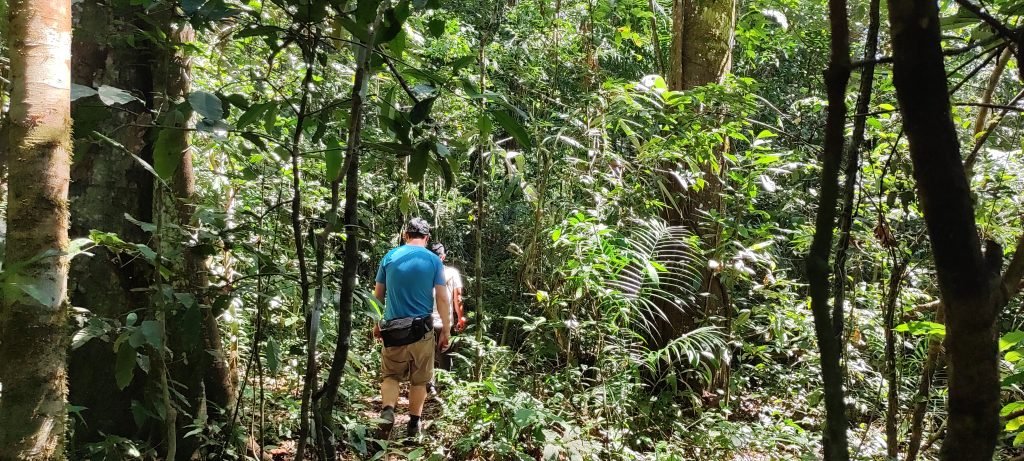 tambopata lorenzo expeditions