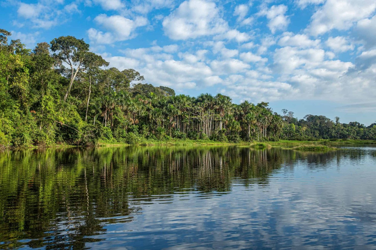 Tambopata National Reserve | Lorenzo Expeditions