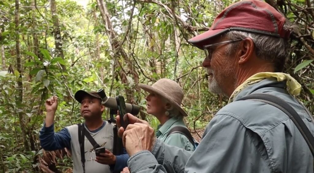 richness herpetofauna in Peru