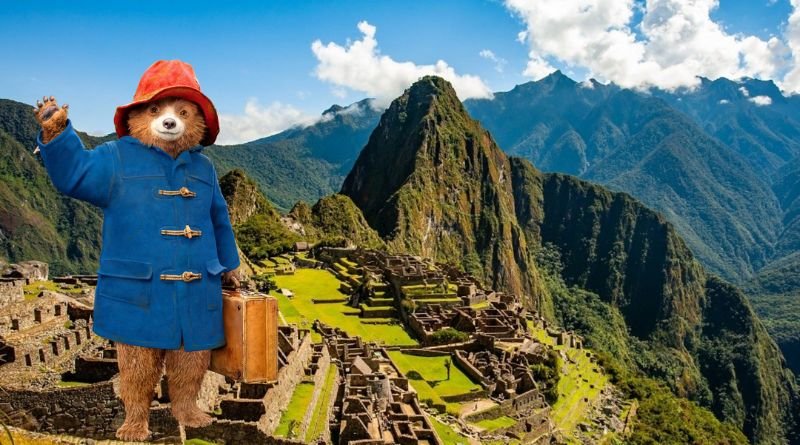 Paddington Bear in Peru